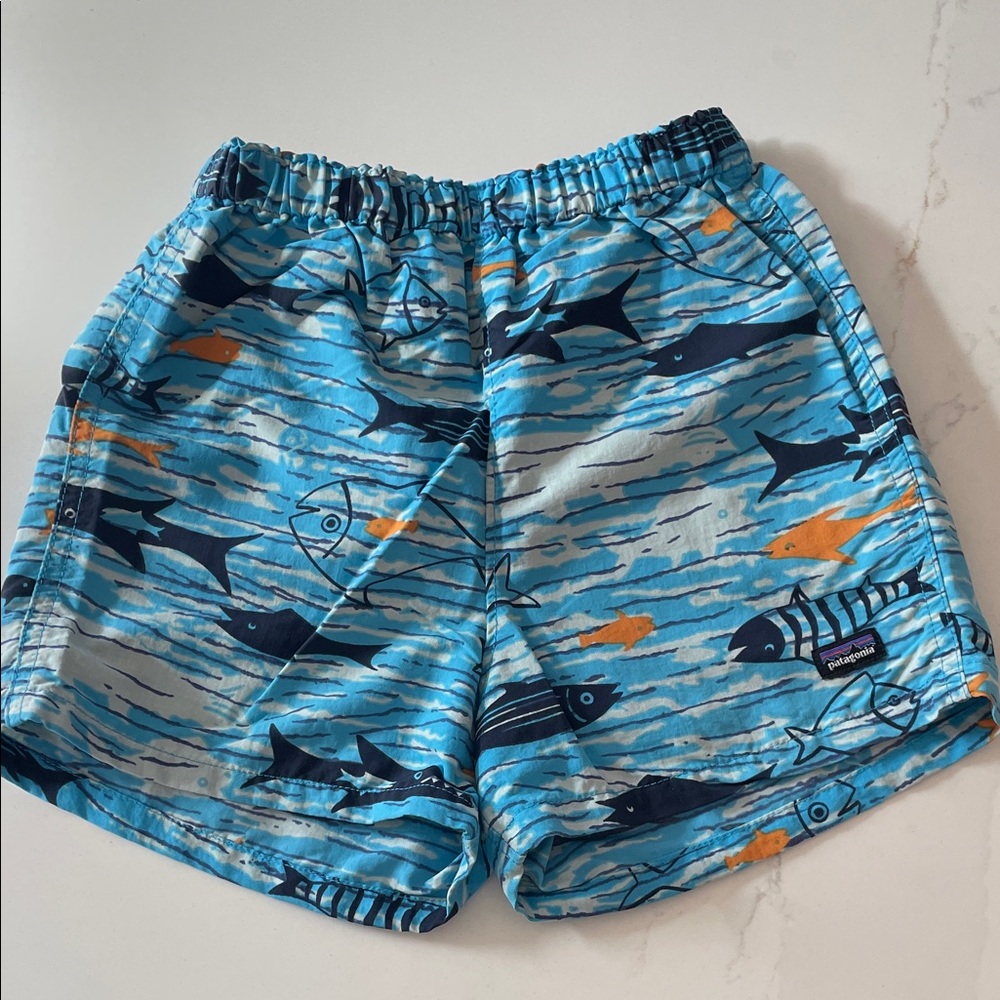 Patagonia Shorts